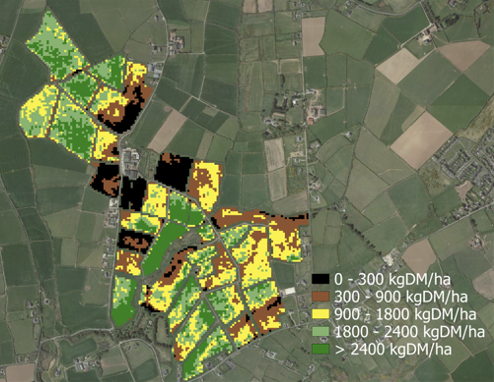 Figure 2. Yield map (Kg DM ha ˉ¹) of individual paddocks in a dairy farm in Ireland using the ProvGrass platform.